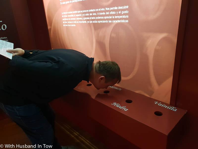 Malaga wine museum - Malaga activities